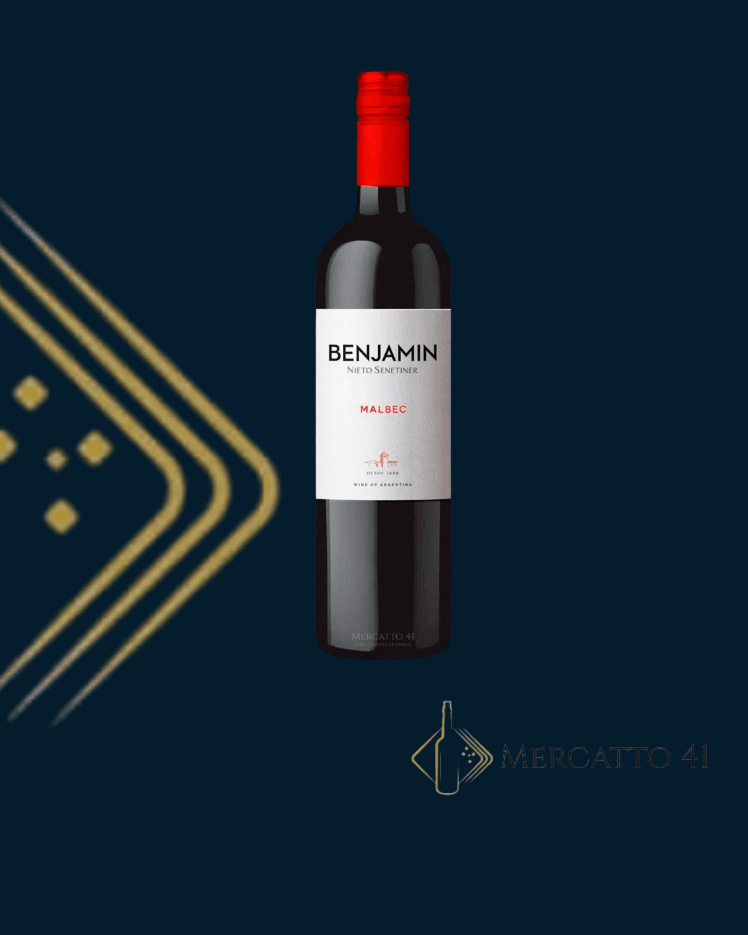 Benjamin Nieto Senetiner Malbec